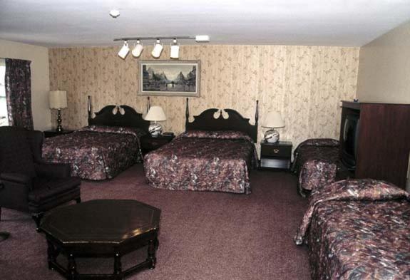 Ivy Rose Motor Inn Windsor Zewnętrze zdjęcie